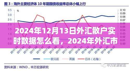 2024年外汇市场散户实时数据解读指南,如何查看与分析外汇散户实时数据