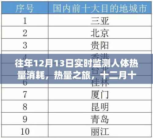 十二月十三日,热量消耗之旅与暖心日常监测