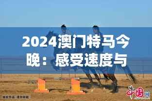 2024澳门特马今晚:感受速度与激情的盛会时刻