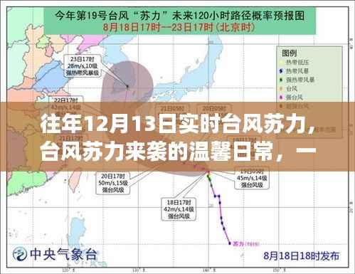 台风苏力来袭的温馨日常,友情邂逅暖心时刻