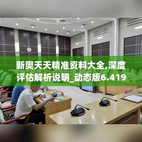 新奥天天精准资料大全,深度评估解析说明_动态版6.419