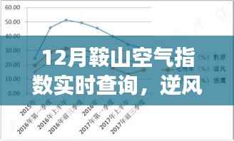 鞍山十二月空气质量实时追踪,逆风翱翔,感受清新空气的魅力与未来展望
