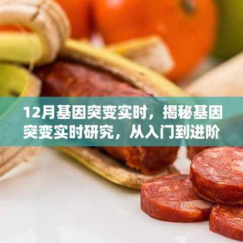 揭秘基因突变实时研究,从入门到进阶全程指南(适合初学者与进阶用户)