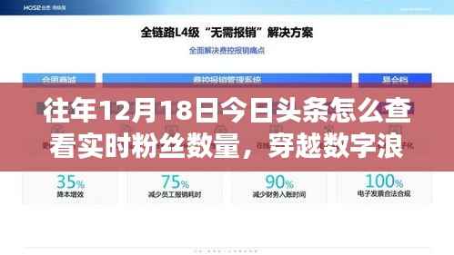 揭秘数字浪潮下的粉丝风云,如何在十二月十八日实时查看今日头条粉丝数量?