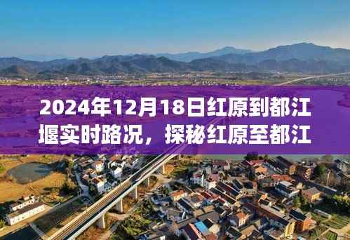 探秘红原至都江堰路上的隐秘美味,实时路况与特色小店故事揭秘