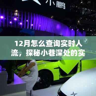 探秘隐藏式人流查询指南,实时掌握小巷深处人流情报的秘诀