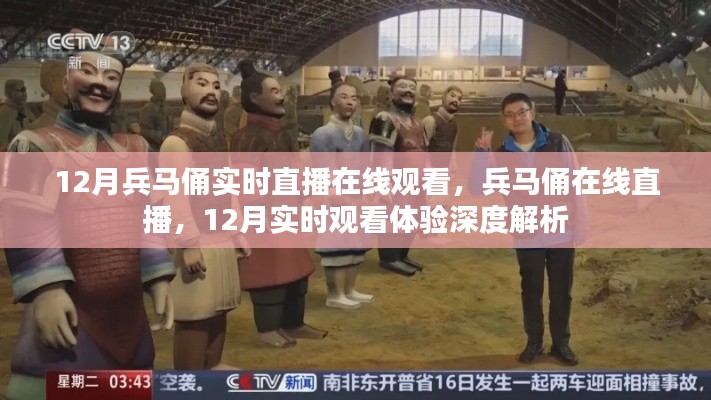 12月兵马俑在线直播深度解析,实时观看体验与历史文化魅力