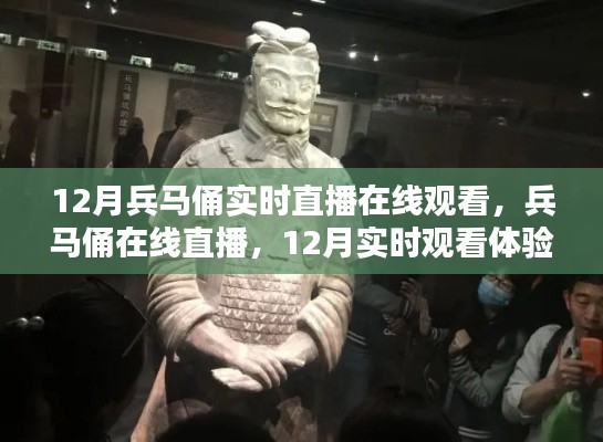12月兵马俑在线直播深度解析,实时观看体验与历史文化魅力