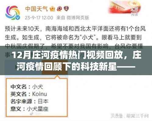 庄河疫情回顾,智能回放系统重塑生活体验,热门视频回放揭示科技新星的力量