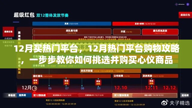 12月购物攻略,热门平台挑选与心仪商品购买指南