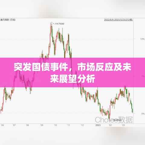 突发国债事件,市场反应及未来展望分析
