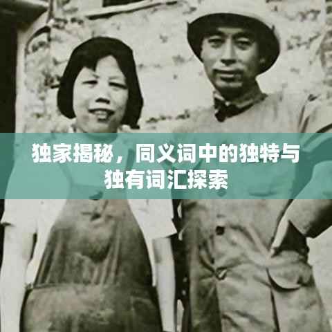 独家揭秘,同义词中的独特与独有词汇探索
