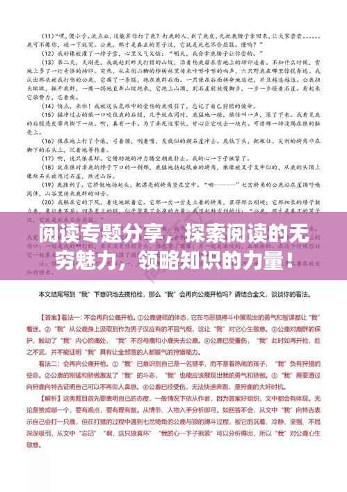 阅读专题分享,探索阅读的无穷魅力,领略知识的力量!