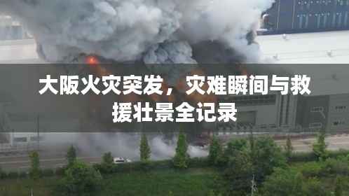 大阪火灾突发,灾难瞬间与救援壮景全记录