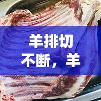 羊排切不断,羊排如何切开