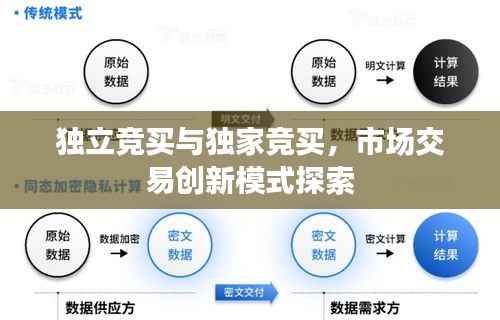 独立竞买与独家竞买,市场交易创新模式探索