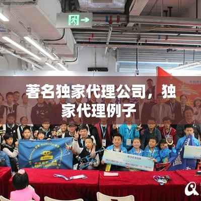 著名独家代理公司,独家代理例子