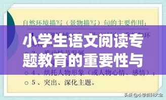 小学生语文阅读专题教育的重要性与提升策略