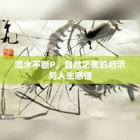 流水不断P,自然之美的启示与人生感悟