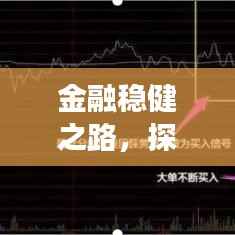 金融稳健之路,探索金融领域稳健发展的奥秘专题