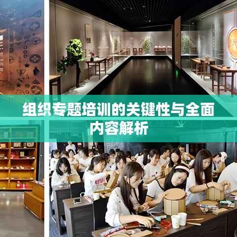 组织专题培训的关键性与全面内容解析