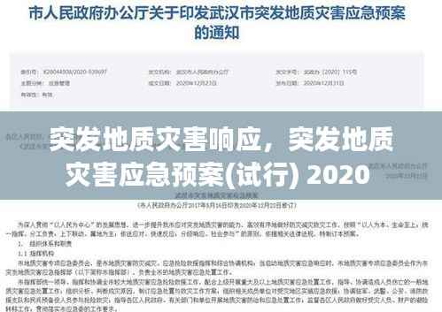 突发地质灾害响应,突发地质灾害应急预案(试行) 2020