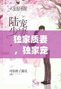 独家质妻,独家宠妻