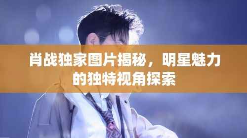 肖战独家图片揭秘,明星魅力的独特视角探索