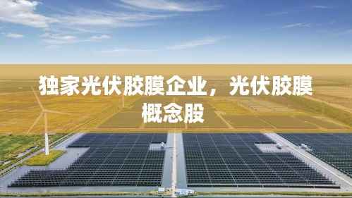 独家光伏胶膜企业,光伏胶膜概念股