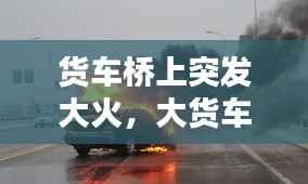 货车桥上突发大火,大货车起火,司机冒着生命