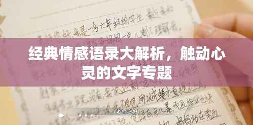 经典情感语录大解析,触动心灵的文字专题