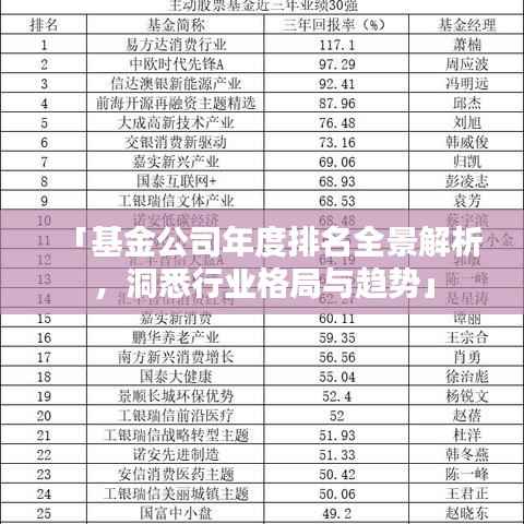 「基金公司年度排名全景解析,洞悉行业格局与趋势」