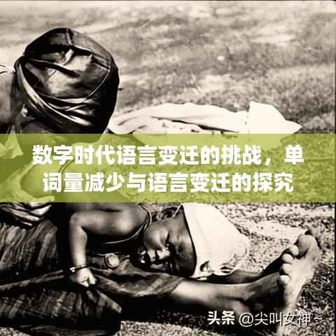 数字时代语言变迁的挑战,单词量减少与语言变迁的探究