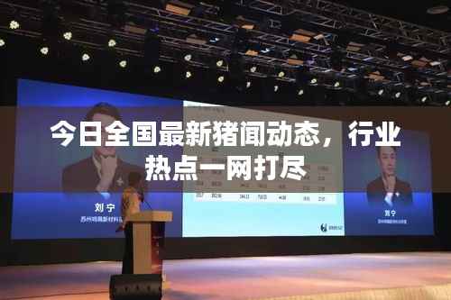 今日全国最新猪闻动态,行业热点一网打尽