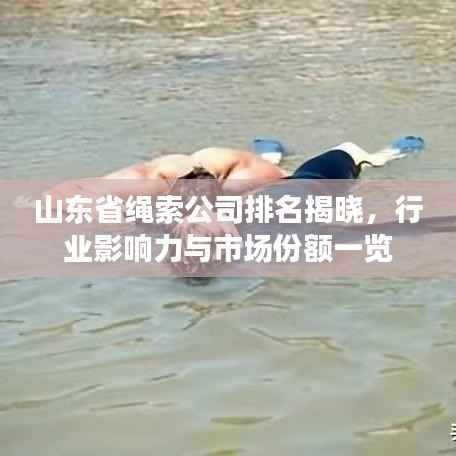 山东省绳索公司排名揭晓,行业影响力与市场份额一览