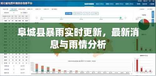 阜城县暴雨实时更新,最新消息与雨情分析