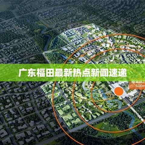 广东福田最新热点新闻速递