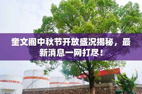 奎文阁中秋节开放盛况揭秘,最新消息一网打尽!