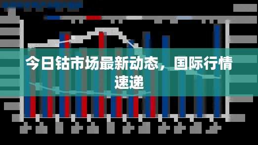 今日钴市场最新动态,国际行情速递