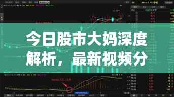 今日股市大妈深度解析,最新视频分析揭秘市场走势