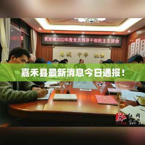 嘉禾县最新消息今日通报!