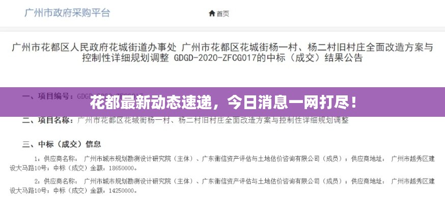 花都最新动态速递,今日消息一网打尽!