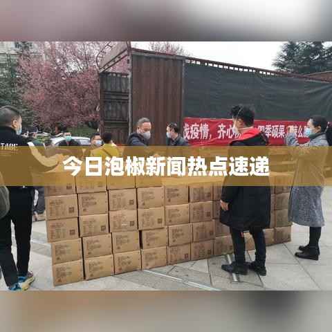 今日泡椒新闻热点速递