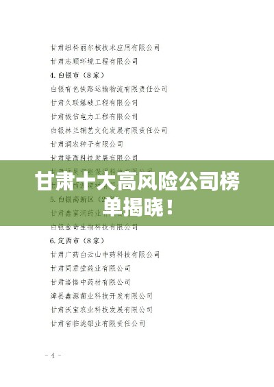 甘肃十大高风险公司榜单揭晓!