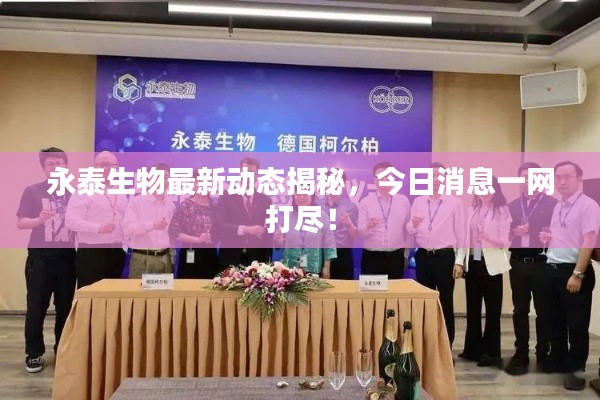 永泰生物最新动态揭秘,今日消息一网打尽!