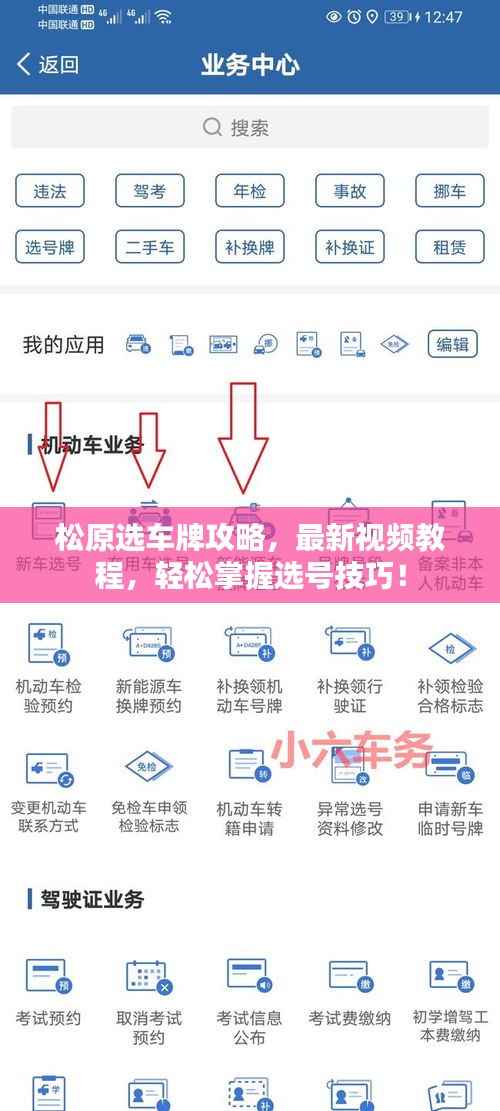 松原选车牌攻略,最新视频教程,轻松掌握选号技巧!