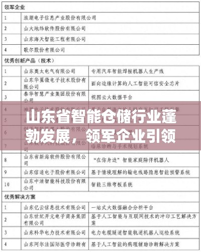 山东省智能仓储行业蓬勃发展，领军企业引领潮流榜单揭晓！