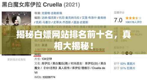 揭秘白嫖网站排名前十名，真相大揭秘！