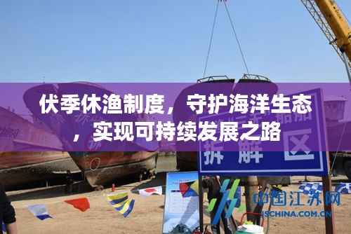 伏季休渔制度,守护海洋生态,实现可持续发展之路