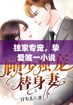 独家专宠,挚爱唯一小说